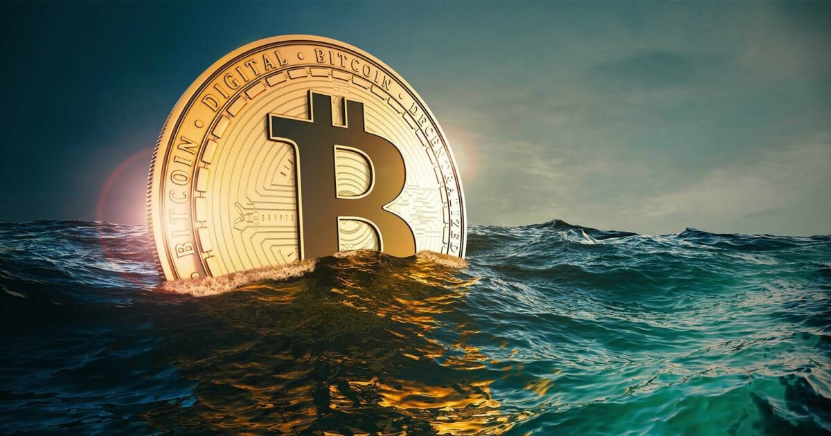 Informed Investor | Riding the Crypto Wave